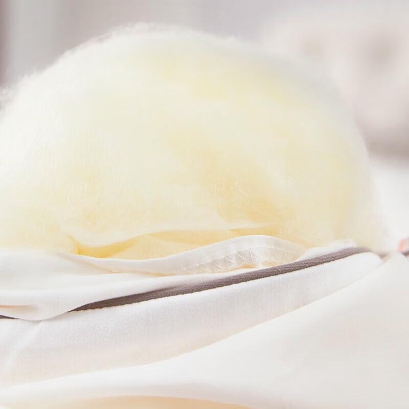 Caiyang Hengyuanxiang Premium Australian Wool All-Season Quilt