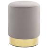 VidaXL Stool Light Grey and Gold Velvet 28 X 36 Cm 249834