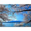 Full Drill DIY Diamond Painting Sakura and Mount Fuji Cross Stitch Diamond Embroidery