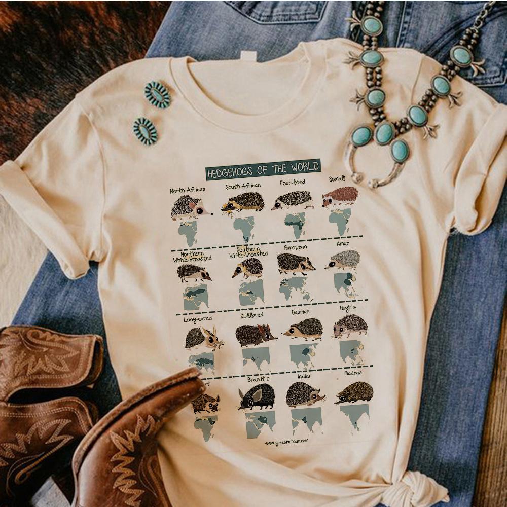 Hedgehog tshirt Women comic streetwear summer t shirt feUnisex comic 2000s designer clothes