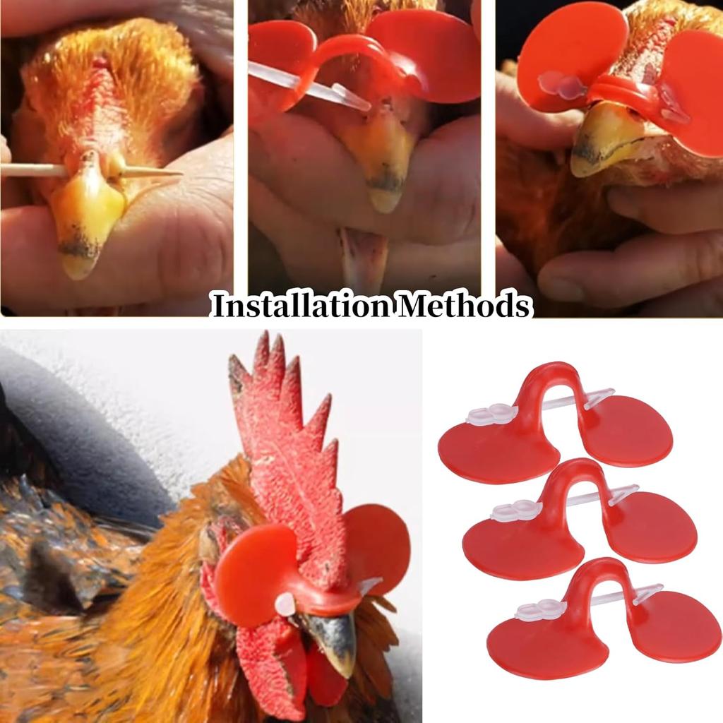 500 шт. Очки для куриц, Многоразовые куриные шоры, Инструмент для очков от расклевывания, Фазаны, Птицеводство, Шоры, Очки для птицеводства, Необходимые,