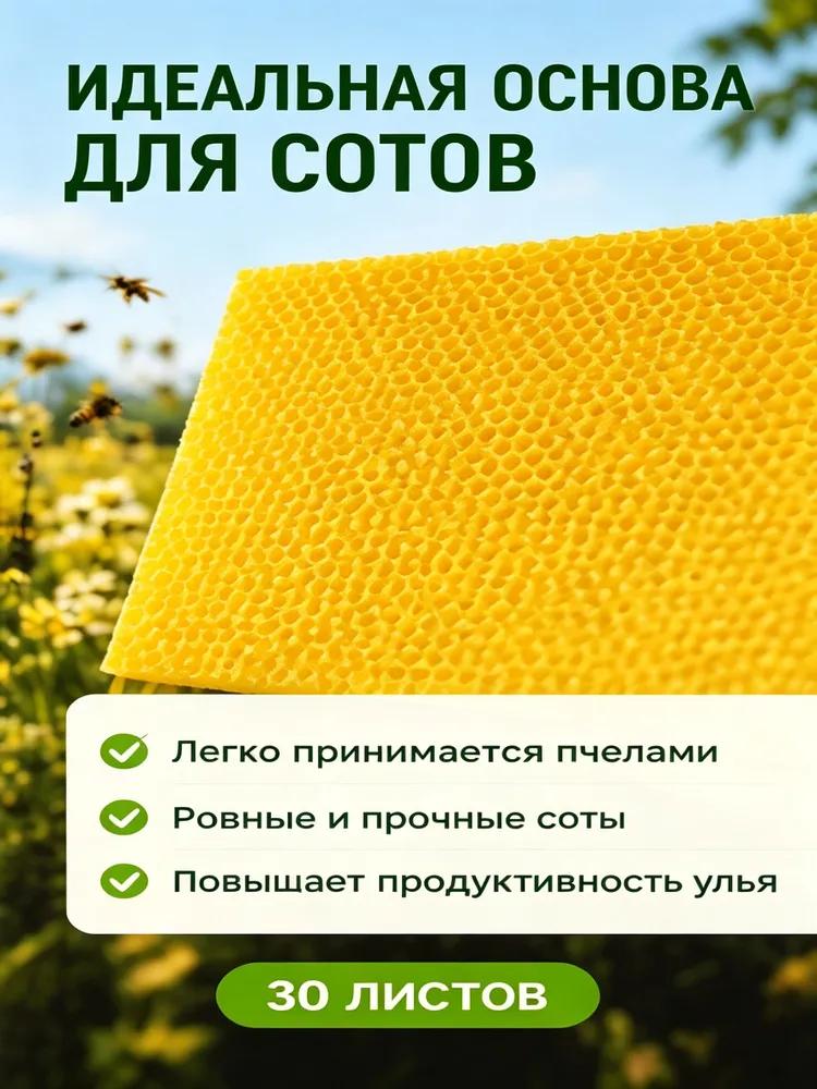 Honeycomb Base