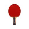 Ping Pong Racquet House Softee P100 + Case 24227