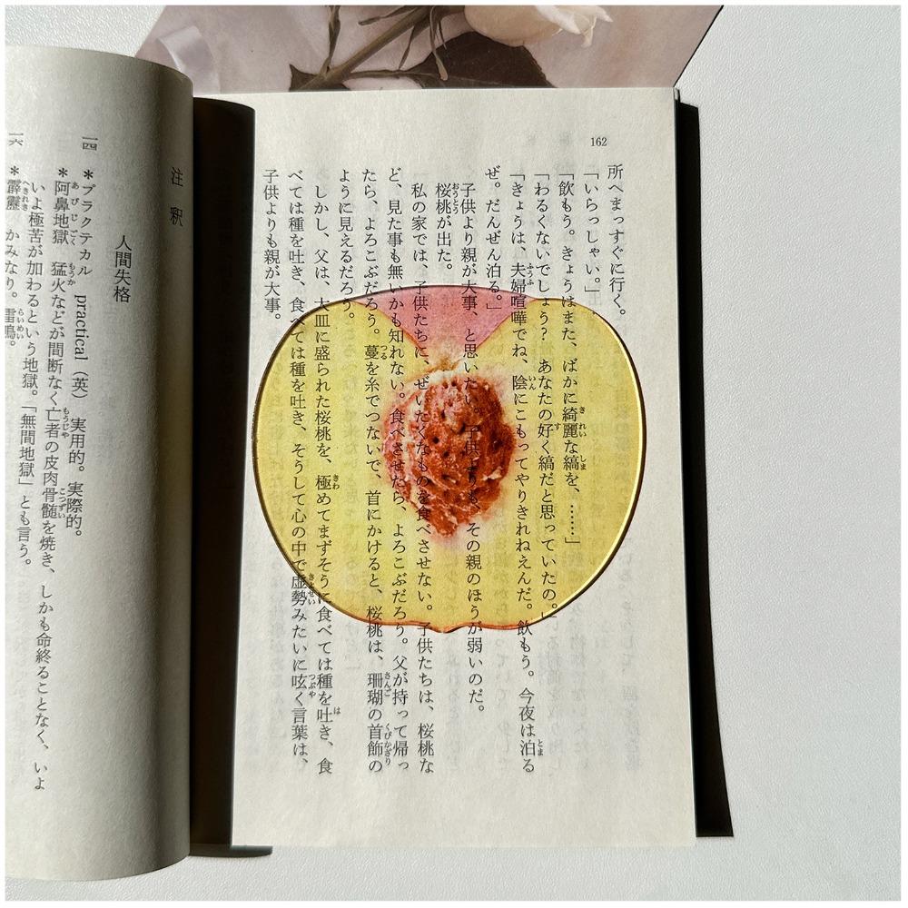 Durable Acrylic Bookmark Simulation Fruit Transparent Book Reading Marker Clear Book Pages Mark Tool Reading Gift