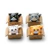Forres Terrarium Box Cat Figure Set of 4,Korean Car Acc