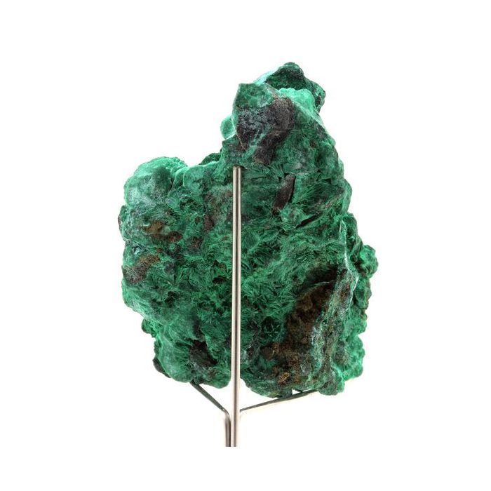Pierres et Minéraux. Malachite. 524.5 ct. Katanga, Congo.