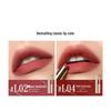 PERFECT DIARY Little Fine Heel Velvet Slim Lipstick