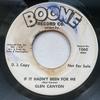 7-дюймовая пластинка GLENN CANYON - If It Hadn't Been For Me / I'd Rath 1060 Boone Record Co 1967 US Фолк Б/У