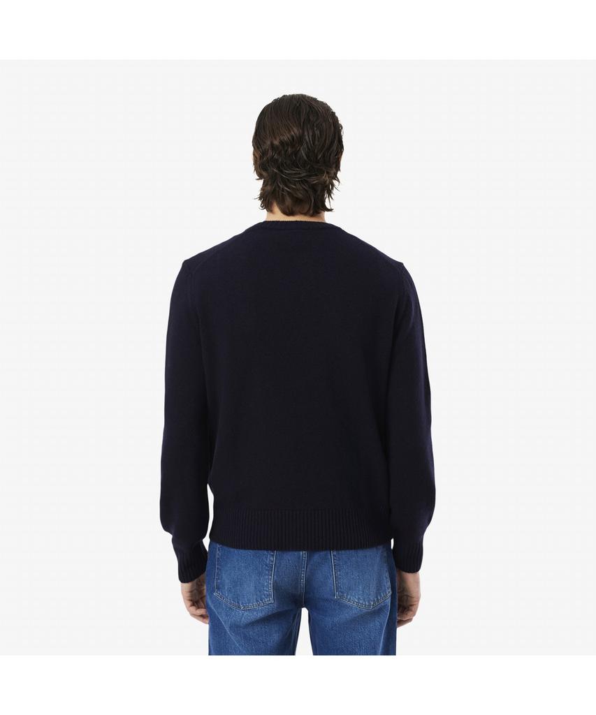 LACOSTE Men'S Wool Crew Neck Sweater Ah2916-55N 166