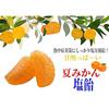 Mikan Salt Candy (Summer Flavor) 100 pieces individually wrapped bulk use sweet summer citrus juice used flavor enhanced large size