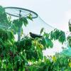 Green Garden Net Protects Plants with Durable Fruits Vegetables Flowers Protection Nets From Birds Poultry Deer and Animals Garden Plant Climbing