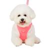 Dog leash with reflective breathable chest strap cat comfortable dog walking rope.