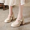 French Gentle Evening Breeze Mary Jane High Heels Women's Versatile Thick Heel Skirt Autumn 2025 New Small Leather Shoes Single Shoes