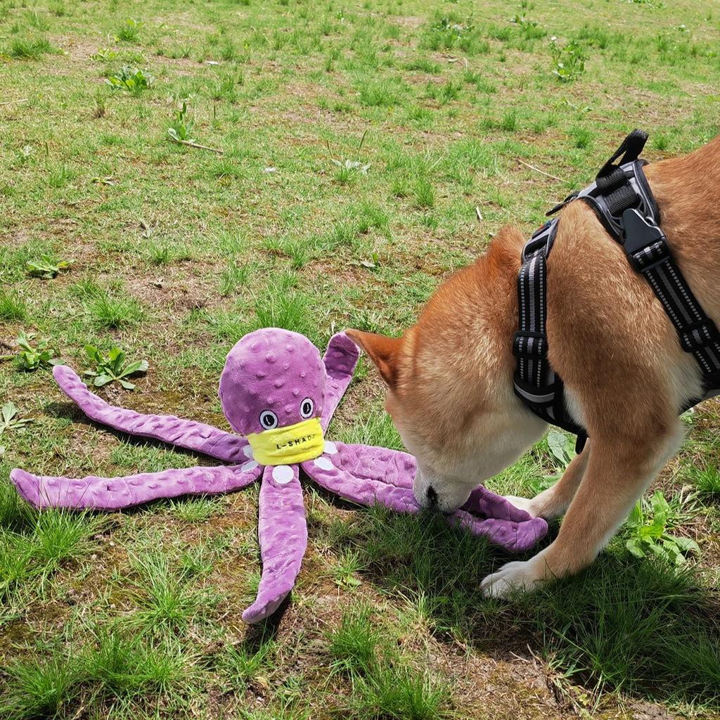 Игрушка для собак Snuffle, плюшевые игрушки для собак, головоломки для собак, интерактивные игрушки для щенков, жевательные игрушки, игры для медленного кормления