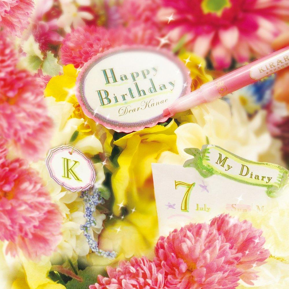 Хайлайтер Zebra Kirarich 5 цветов WKS18-5C