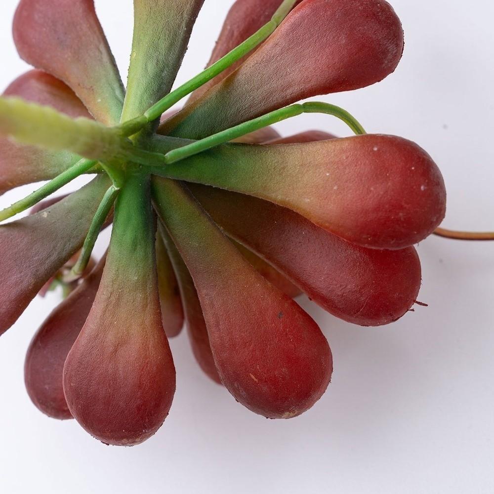 Fleshy Artificial Succulent Plant Lifelike Simulation Bonsai Plant Fake Cactus Home Office Decor