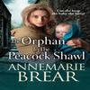 The Orphan In the Peacock Shawl by AnneMarie Brear Hardback Book 9781801627528