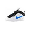 Air Foamposite Pro 3D I 643145-102