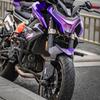 Защитная сетка радиатора двигателя мотоцикла CFMOTO 800NK от насекомых.