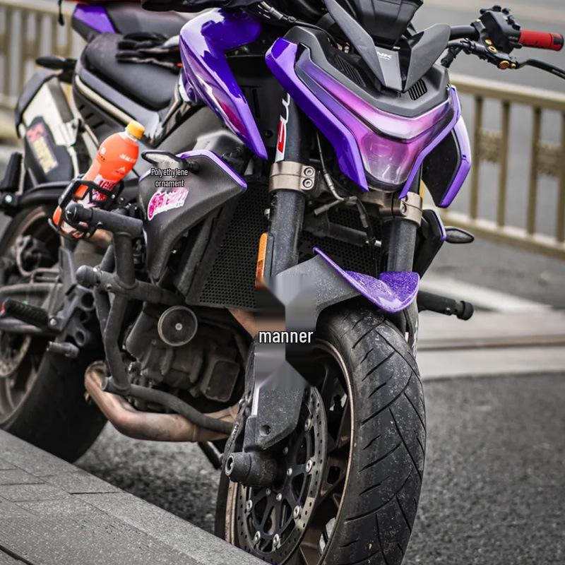 Защитная сетка радиатора двигателя мотоцикла CFMOTO 800NK от насекомых.