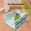 Инкубатор для птенцов попугая с грелкой для высиживания птенцов пиона