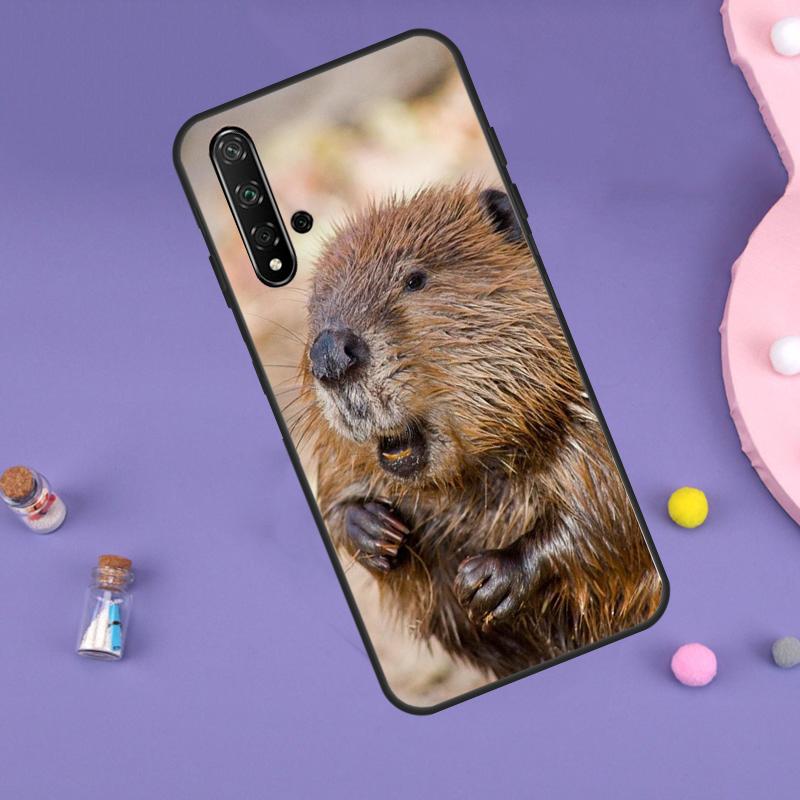 Животное Бобр Для Huawei Nova 7i 8i 11i 12i 12s 9 10 SE Y60 Y61 Y70 Y72 Y73 Y90 Y91 P20 P40 P30 Lite Чехол