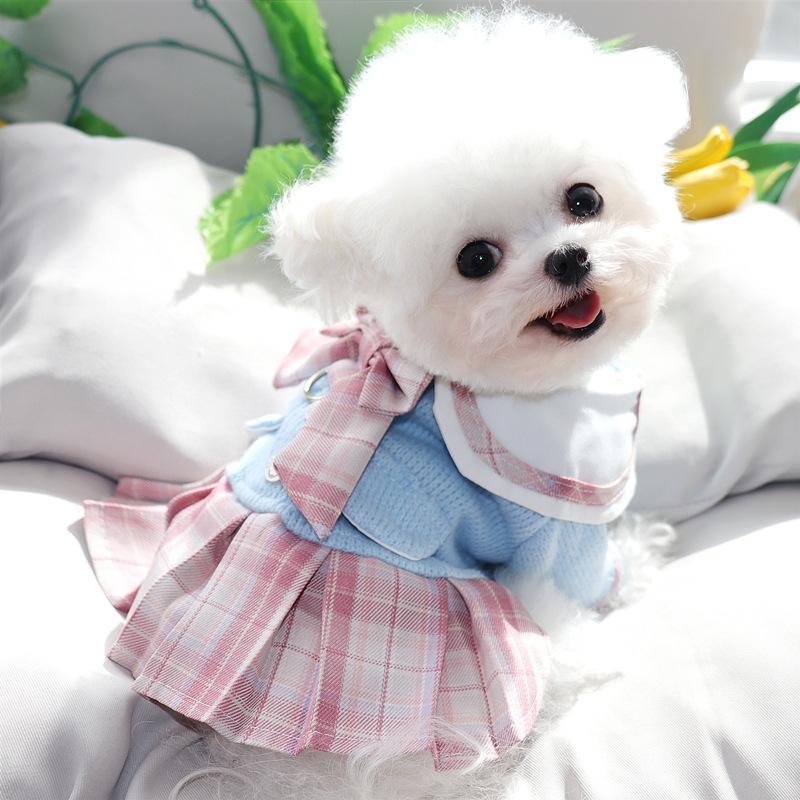 Princess Skirt Puppy Clothes Spring And Autumn Teddy Bichon Pomeranian Schnauzer Small Puppy Pet Autumn And Winter