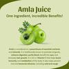 Sri Sri Tattva Shuddhta Ka Naam | Amla Juice | Herbal & Pure | Rich In Vitamin C | Naturally Boosts Immunity | 1 L (Pack of 1)