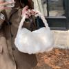 Niche Design Cloud Bag Fur Handbag for Women's New Winter Style Versatile Texture Fluffy Handbag