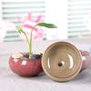 Cute Ice-Crack Glaze Flower Ceramics Succulent Planter Mini Plant Pot Home Decor