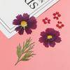 Filling Materials Jewelry Making Beauty Decal Resin Filler Resin Mold Filling Flower Dried Flowers
