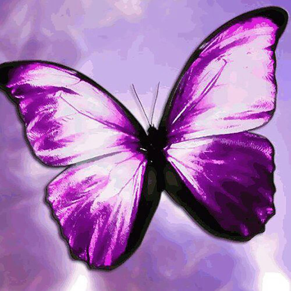 Diy 5D алмазная живопись Бабочка Цветок Алмазная вышивка набор крестиков мозаичная картина украшение дома подарок на Новый год