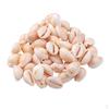 Natural Shell Loose Beads Charms for Jewelry Making Findings DIY