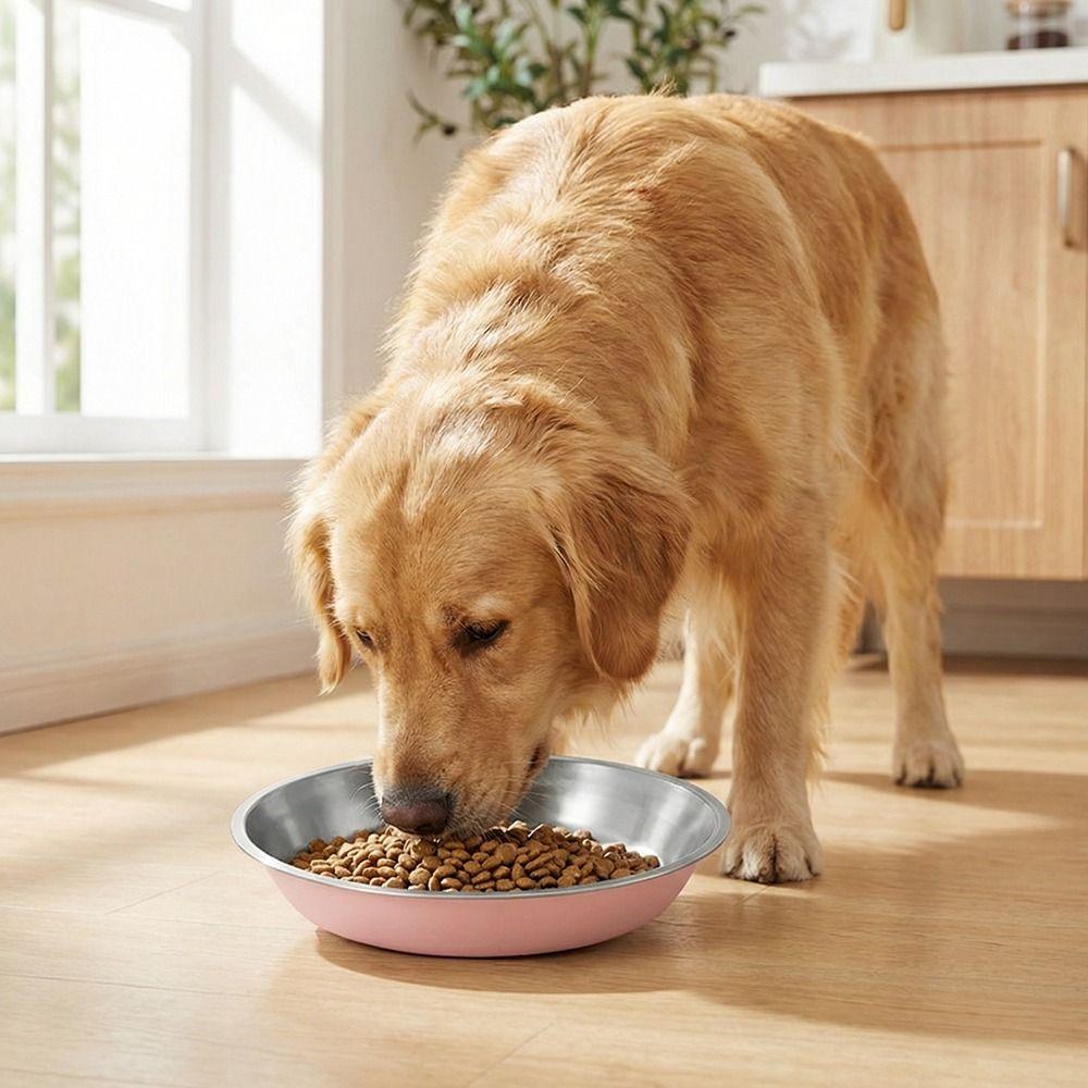 Wide Mouth Cat Food Bowls Anti-Tip Dog Food Dish Stainless Steel Dog Bowl Pet Drinking Feeding