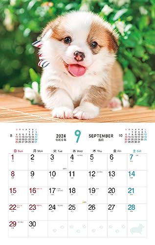 Пушистый щенок (Календарь Impress 2024)