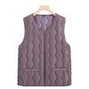 High-quality Down Cotton Vest Women's Autumn and Winter Warm Stand-up Collar Sleeveless Vest Fashion Outer Vest Jacket