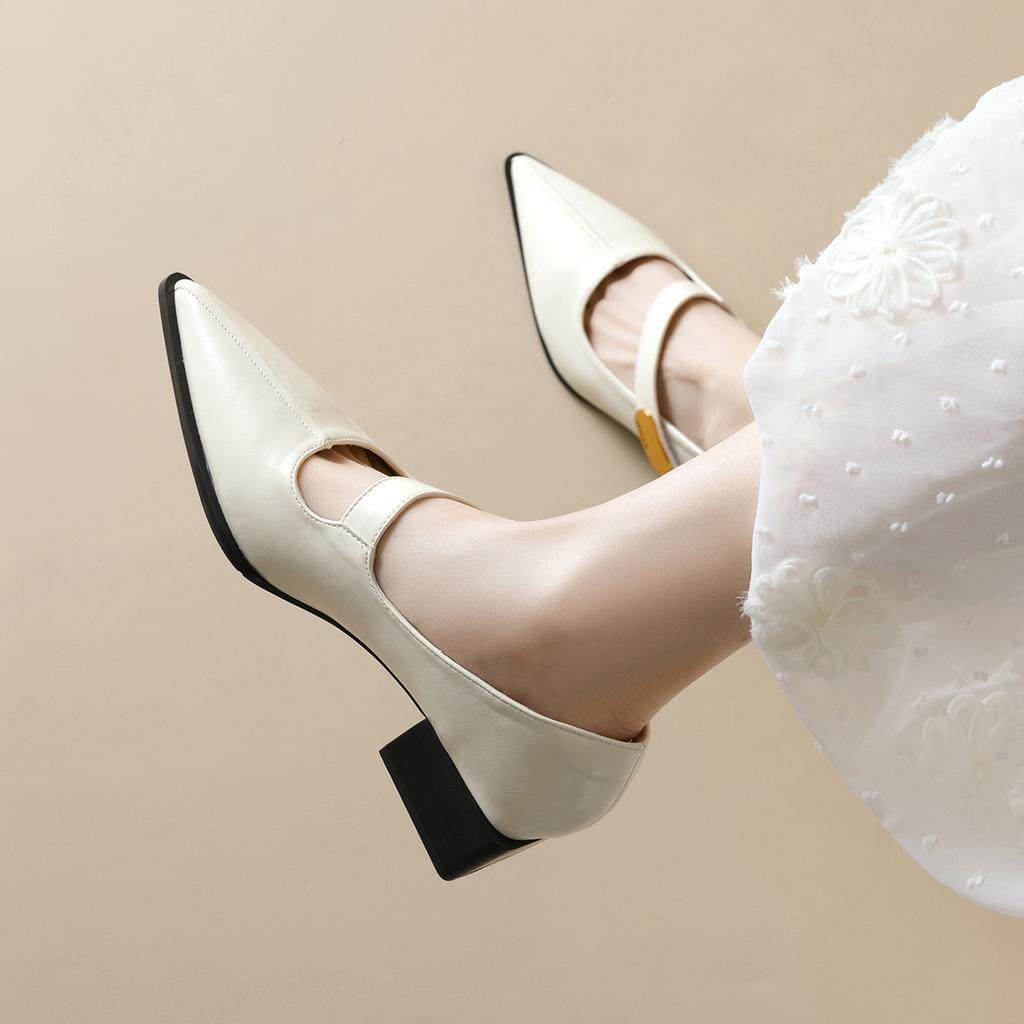Pointed Single Shoes Women's Thick Heel with Shallow Mouth Mary Jane Shoes Temperament High Heels