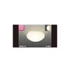 Toshiba Lightech LED Outdoor Ceiling Light (White) (Lamp Sold Separately)