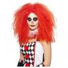 Unisex Adult Clown Wig