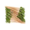100pcs Wood Sturdy And Durable Bamboo Skewers For Fruit Skewers And Cocktail Picks Cocktail Sticks