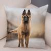 Домашнее животное овчарка декоративная наволочка для офиса гостиная автомобиль украшения дома наволочка