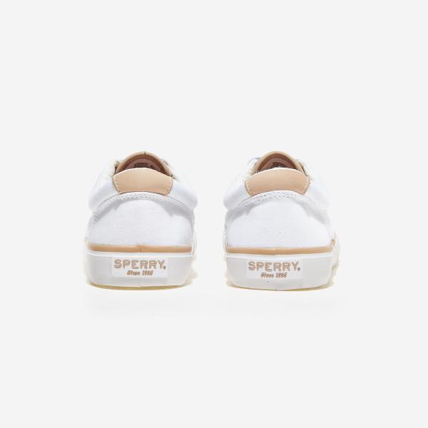 Sperry Striper II CVO Seacycle-STS25141