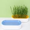 Hydroponic Cat Grass Box Cat Treats Catnip Hydroponic Soilless Planting Cat Grass Pot Set For Indoor Growing Sprouting Trays