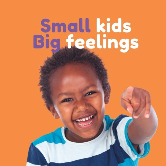 The Small Kids Big Feelings Book