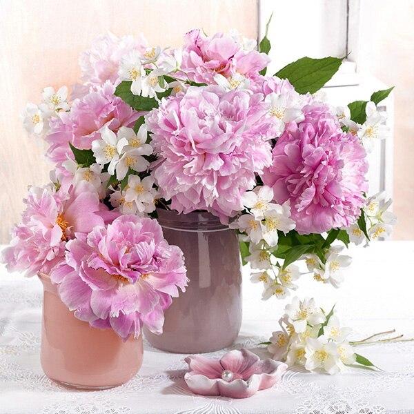 50X50CM 5D Diy Алмазная картина Мышь Животное Алмазная вышивка Мозаика Печенье Вышивка крестиком Домашнее искусство Ручная работа