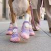 4PCS Anti-Slip Pet Mesh Boots Breathable Pet Paw Protector Wear-resistant Dog Sneakers  Daily Wear