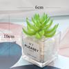 Desktop Bookshelf Decor: Faux Succulent Cactus with Dried Flowers