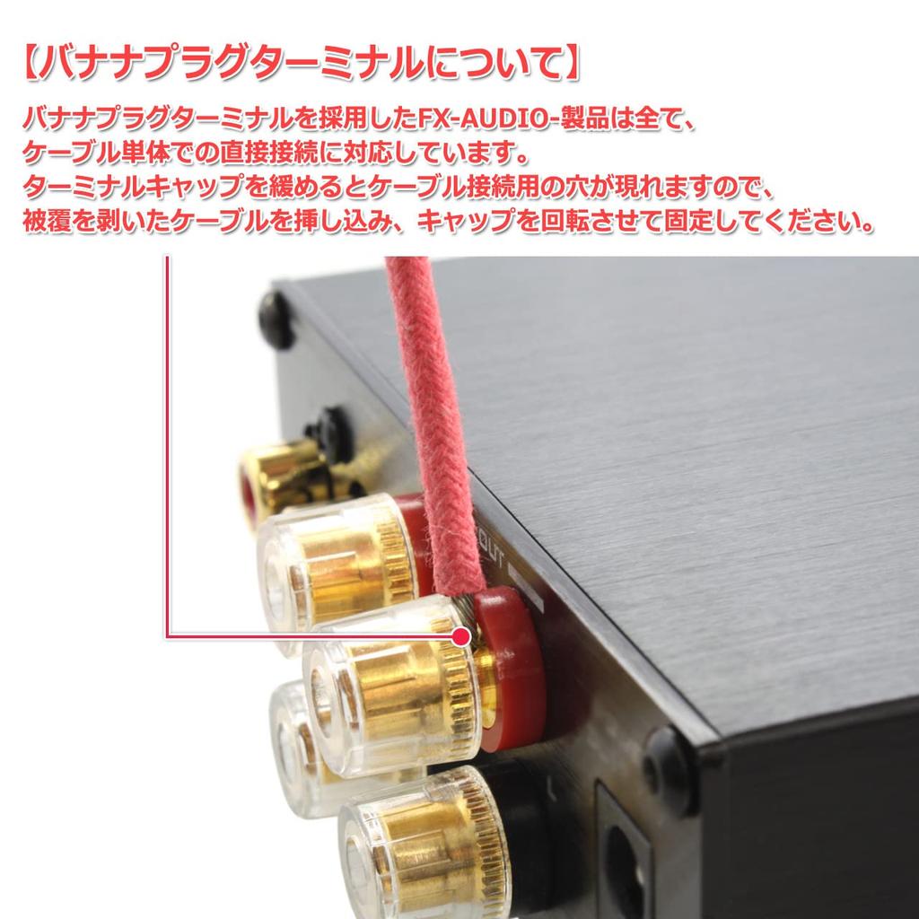 Integrated Amplifier with TPA3116 FX-AUDIO- FX-502J [Silver] 50W×2ch