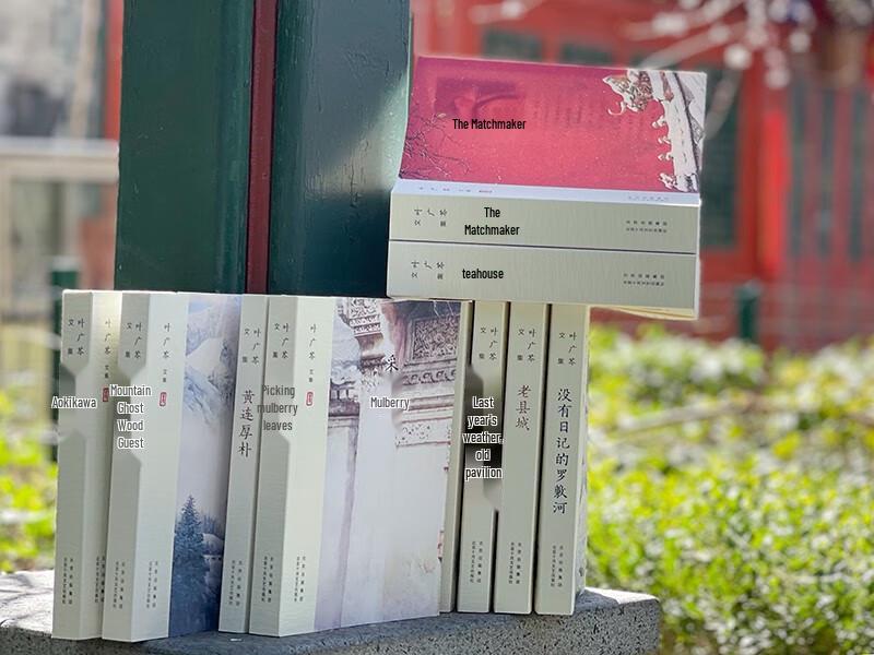 Ye Guanglin Collected Works (10 Volumes)