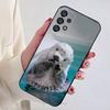 Морские выдры Животные Милый чехол для телефона для Samsung Galaxy A73,23,53,33,14,24,13,72,22,52,32,54,A34 Мягкий чехол